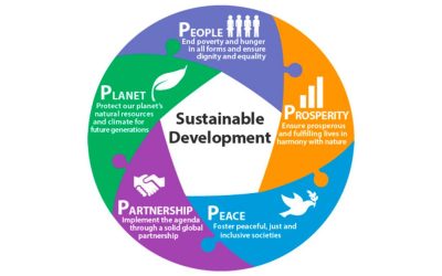 ICAA comprometida com “IC 5P for the Future”